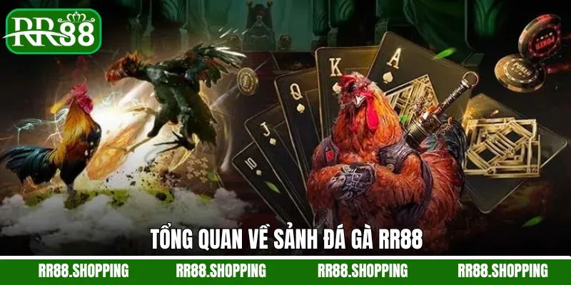 Tổng quan về thể loại đá gà nổi tiếng Tổng quan về thể loại đá gà nổi tiếng